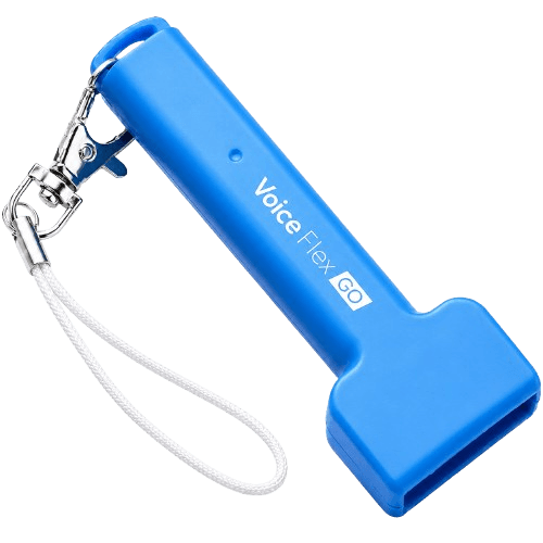 Voice Flex GO GO